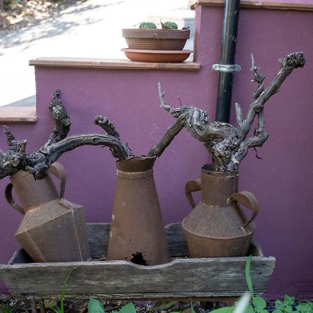 Agriturismo Etna-Mare П'єдімонте-Етнео Екстер'єр фото