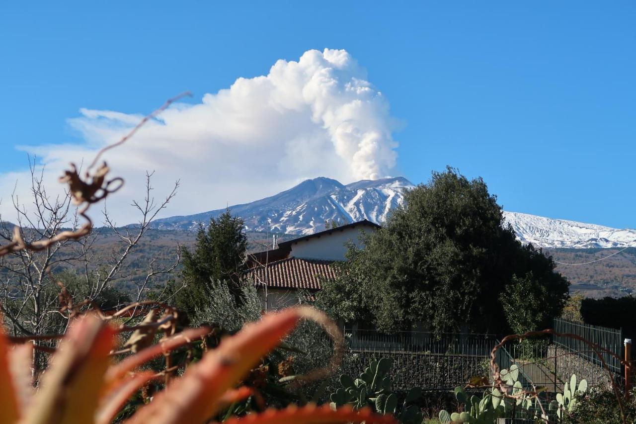 Agriturismo Etna-Mare П'єдімонте-Етнео Екстер'єр фото